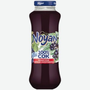 Сок Noyan виноград, черная смородина для детского питания для детей дошкольного и школьного возраста 250мл, 250 мл