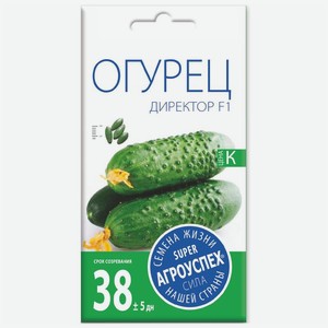 Семена Агроуспех Огурец Директор F1, 7шт., 1 г