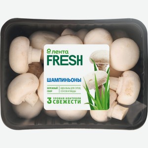 Грибы ЛЕНТА FRESH шампиньоны, 250 г