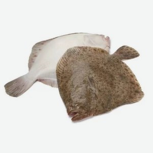 Камбала НР 30 вес