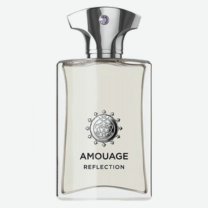 AMOUAGE Reflection Man, Парфюмерная вода, спрей 100 мл