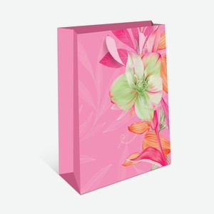 Пакет подарочный АА стандарт плюс 33,0х42,5х15,0 см