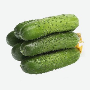 Огурцы короткоплодные, вес