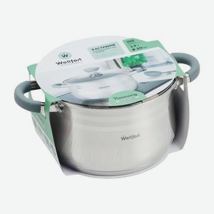 Кастрюля из нержавеющей стали Harmony Wellfort 3.9л