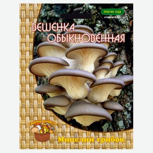 Мицелий грибов «Поиск», 1 шт