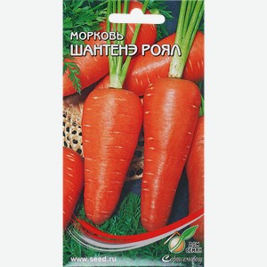 Семена SUBA Морковь Шантанэ 2461, 2,3г