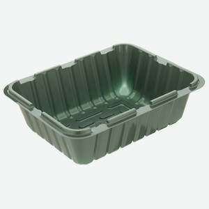 Мини-парник с крышкой, 210х160х65 мм, для 1 кассеты, полисти