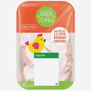 Голень Наша птичка цыплёнка