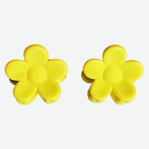 Заколки-зажимы для волос Clarette, 2 шт