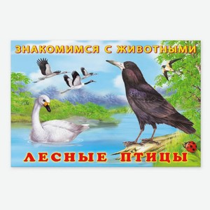Знакомимся с животными Лесные птицы