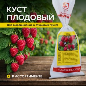 Куст плодовый, в ассортименте