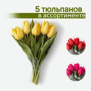 Букет тюльпанов 5шт (цвет по наличию)
