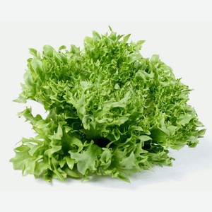 Салат Фриллис 1шт