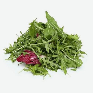 Салатная смесь Руккола-Радиччо 75г