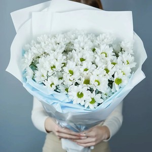 AZALIANOW ЦВЕТЫ. ПОДАРКИ. ДЕКОР Букет из 15 белых ромашковых хризантем в упаковке, Букеты и композиции из живых цветов могут на несколько тонов отличаться от изображений. Часть цвета искажается в зависимости от настроек экрана.