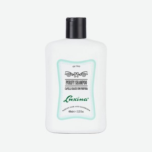 LUXINA Мужской очищающий шампунь против перхоти Purify Shampoo, 400 мл