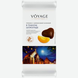 Пряники Voyage Fantastique с абрикосом в тёмном шоколаде, 150г