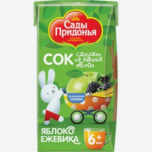 Д/п сок САДЫ ПРИДОНЬЯ из яблок и ежевики освет. восст. с 6 мес, Россия, 125 мл