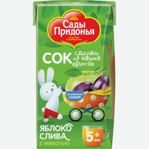 Д/п сок САДЫ ПРИДОНЬЯ яблочно-сливовый с мякотью с 5 мес, Россия, 125 мл