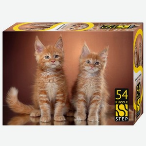 Игра Step Puzzle Company Мозаика 54 элемента в ассортименте 1шт., 1 шт